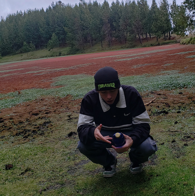 ab6761610000e5eb6d21f73b5f6a47f0987f6f81